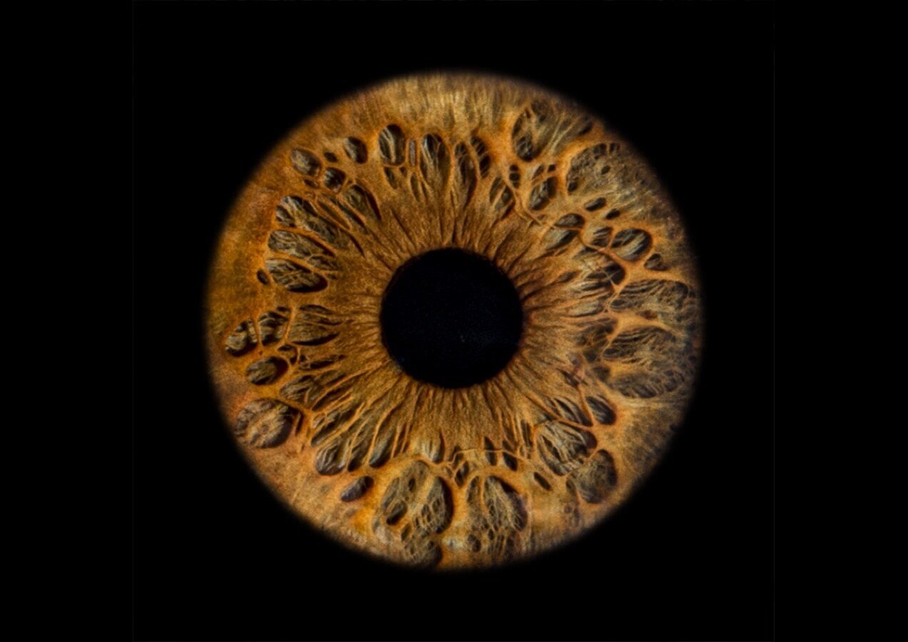 Umjetnička fotografija jedne šarenice