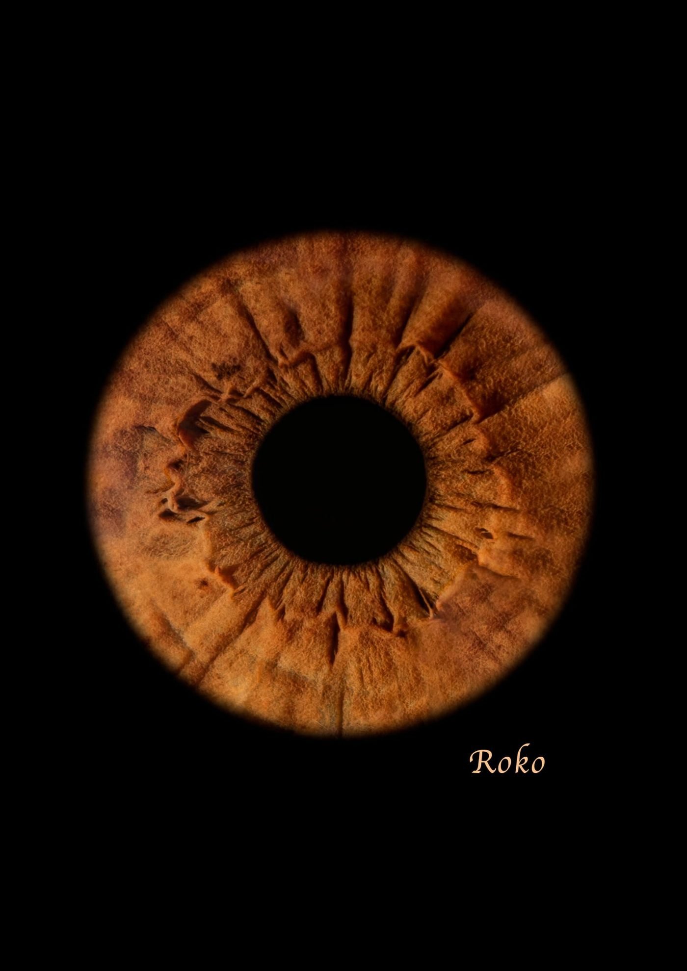 Umjetnička fotografija šarenice — galerija 7