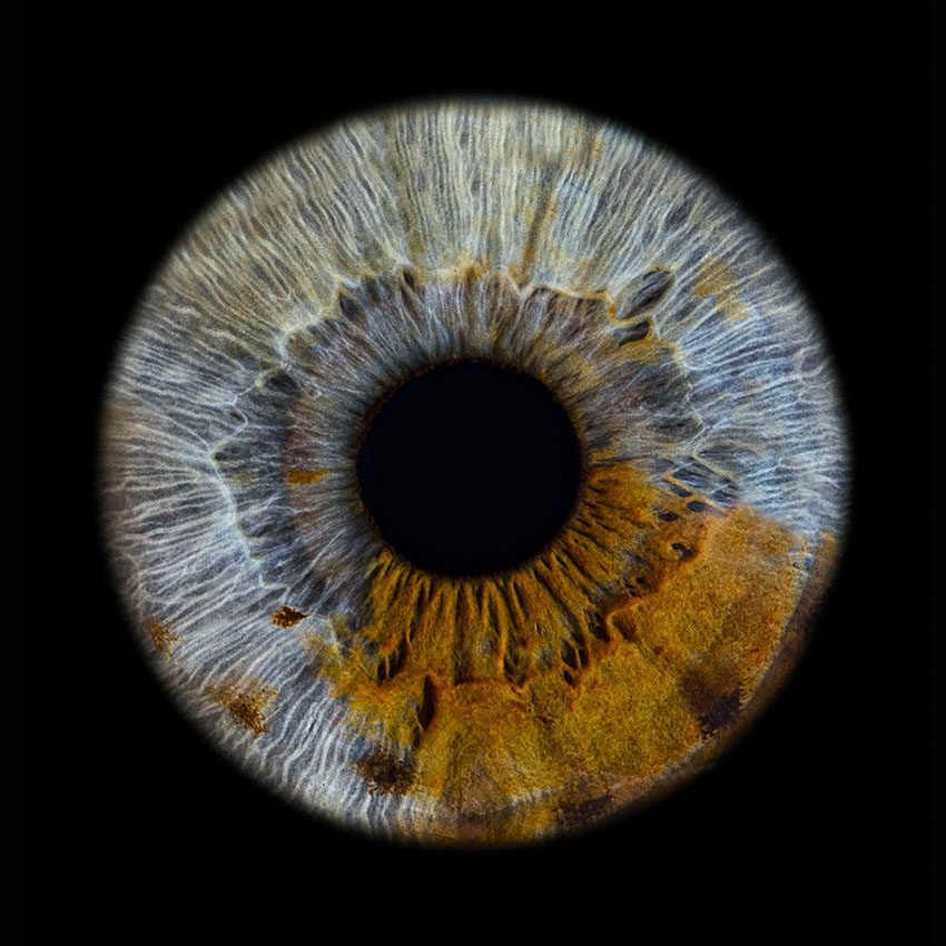 Umjetnička fotografija šarenice — galerija 11