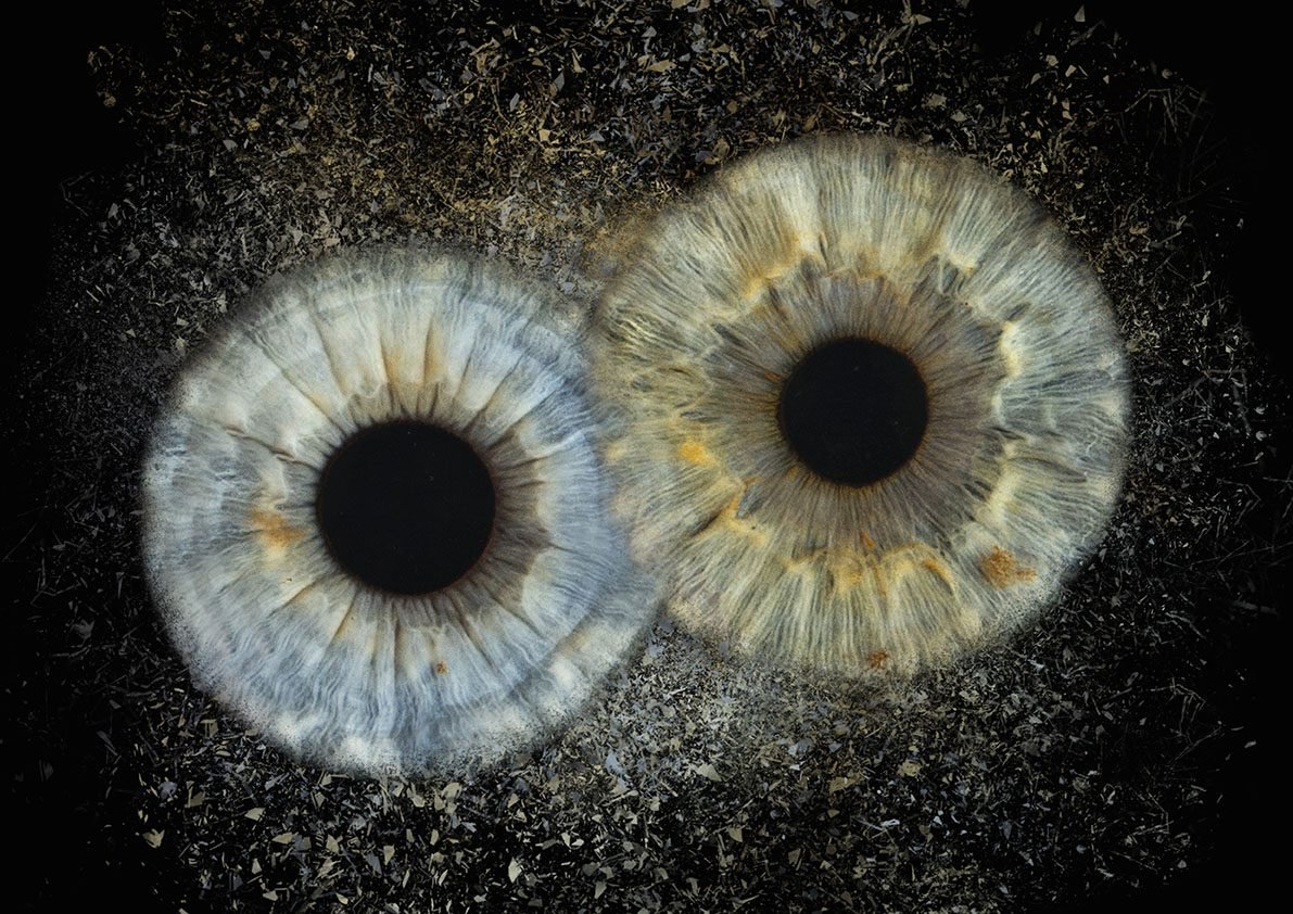 Umjetnička fotografija šarenice — galerija 14