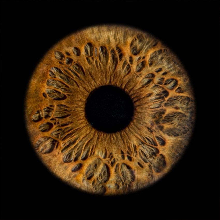 Umjetnička fotografija šarenice — galerija 16