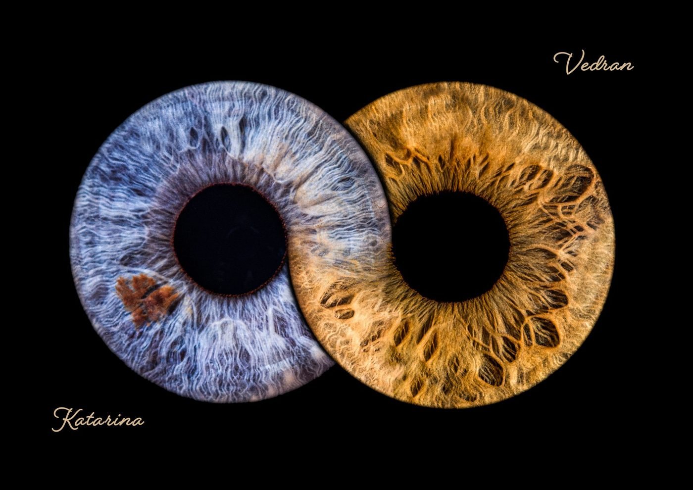 Umjetnička fotografija šarenice — galerija 29